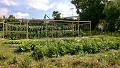 Horta