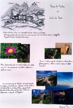 Clique para aceder ao documento